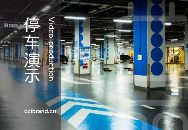 012 蓝美品牌设计