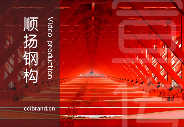 网站案例封面 蓝美品牌设计